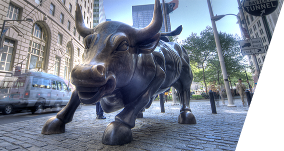 Bull statue photograph